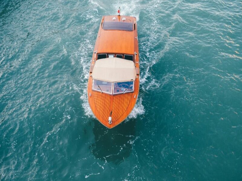 Adventure on Wheels: Journey Through the Savannah